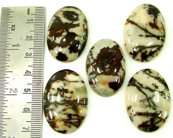 184.45 Ct Natural Coco Jasper Loose Gemstone 32-34 mm Cabochon 5 Pcs Lot - 21916 - Image 2