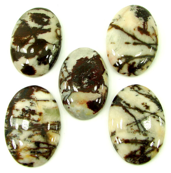 184.45 Ct Natural Coco Jasper Loose Gemstone 32-34 mm Cabochon 5 Pcs Lot - 21916