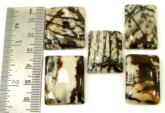 180.35 Ct Natural Coco Jasper Loose Gemstone 26-29 mm Cabochon 5 Pcs Lot - 21918 - Image 2