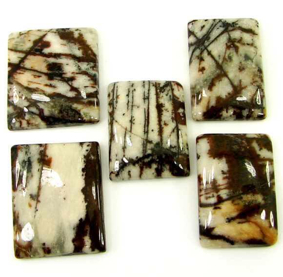 180.35 Ct Natural Coco Jasper Loose Gemstone 26-29 mm Cabochon 5 Pcs Lot - 21918