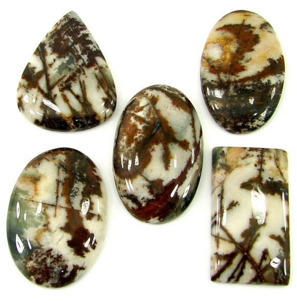 191.55 Ct Natural Coco Jasper Loose Gemstone 34-37 mm Cabochon 5 Pcs Lot - 21921