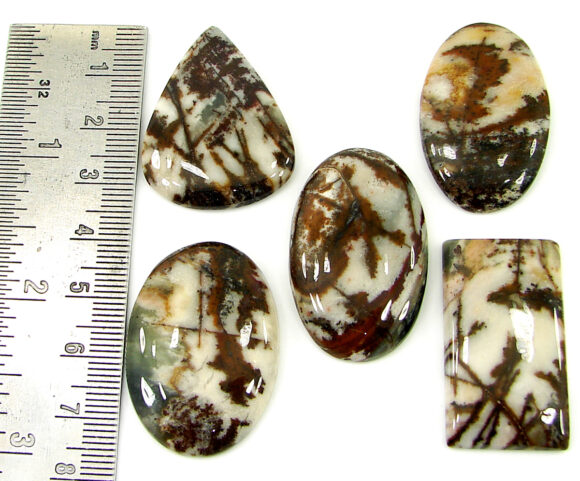 191.55 Ct Natural Coco Jasper Loose Gemstone 34-37 mm Cabochon 5 Pcs Lot - 21921 - Image 2