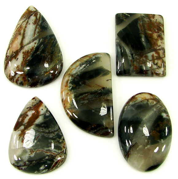 199.60 Ct Natural Coco Jasper Loose Gemstone 30-39 mm Cabochon 5 Pcs Lot - 21922