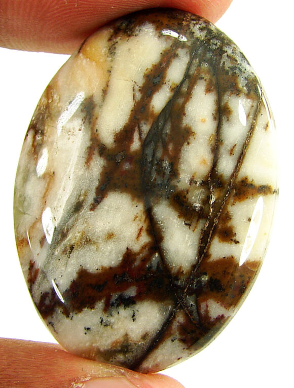 55.90 Ct Natural Coco Jasper Loose Gemstone Stone Cabochon Wire Wrap Stone - 21937