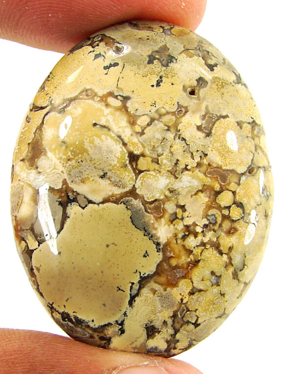 70.95 Ct Natural Polka Dot Jasper Loose Gemstone Cabochon Wire Wrap Stone - 22072