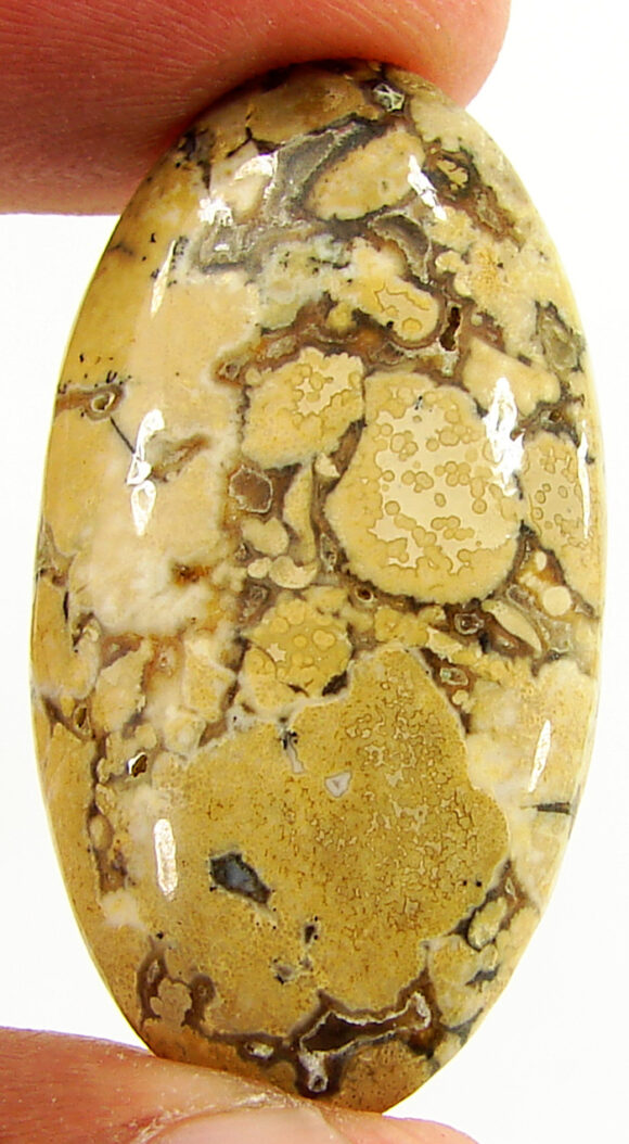 35.05 Ct Natural Polka Dot Jasper Loose Gemstone Cabochon Wire Wrap Stone - 22077