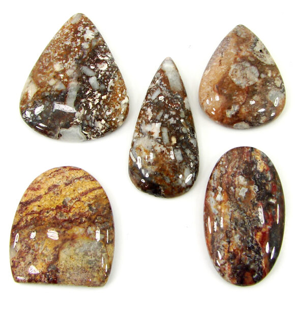 191.70 Ct Natural Rainbow Jasper 30-39 mm Gemstone Cabochon 5 Pcs Stone Lot - 22100