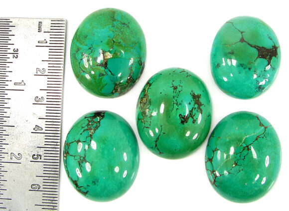 247.75 Ct Natural Tibet Turquoise Loose Gemstone Cabochon 5 Pcs Stone Lot - 17763 - Image 2