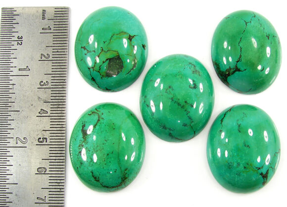 259.75 Ct Natural Tibet Turquoise Loose Gemstone Cabochon 5 Pcs Stone Lot - 19916 - Image 2