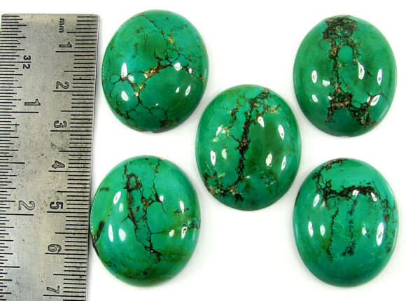 247.90 Ct Natural Tibet Turquoise Loose Gemstone Cabochon 5 Pcs Stone Lot - 19919 - Image 2