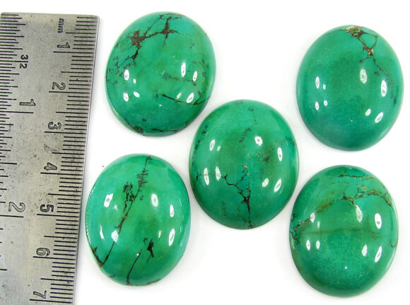 248.70 Ct Natural Tibet Turquoise Loose Gemstone Cabochon 5 Pcs Stone Lot - 19923 - Image 2