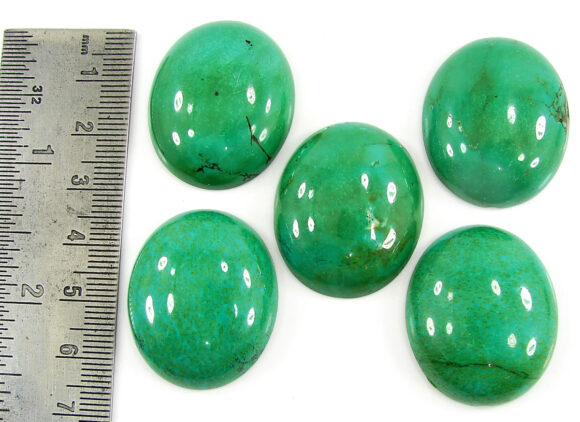 247.30 Ct Natural Tibet Turquoise Loose Gemstone Cabochon 5 Pcs Stone Lot - 19924 - Image 2