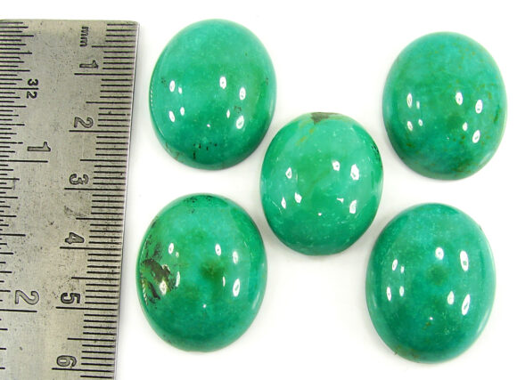 179.65 Ct Natural Tibet Turquoise Loose Gemstone Cabochon 5 Pcs Stone Lot - 19925 - Image 2