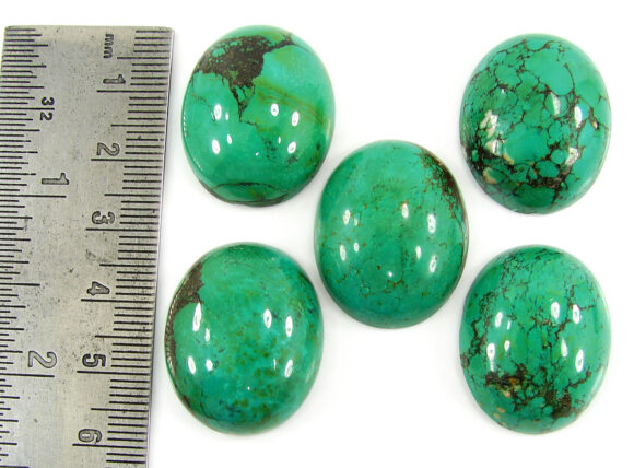 172.95 Ct Natural Tibet Turquoise Loose Gemstone Cabochon 5 Pcs Stone Lot - 19927 - Image 2