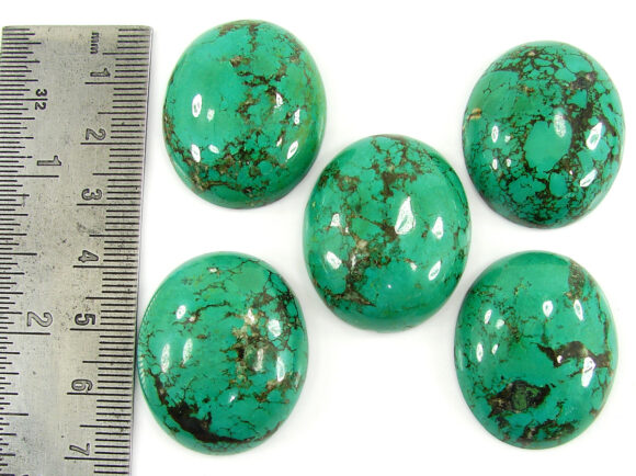 254.65 Ct Natural Tibet Turquoise Loose Gemstone Cabochon 5 Pcs Stone Lot - 19978 - Image 2