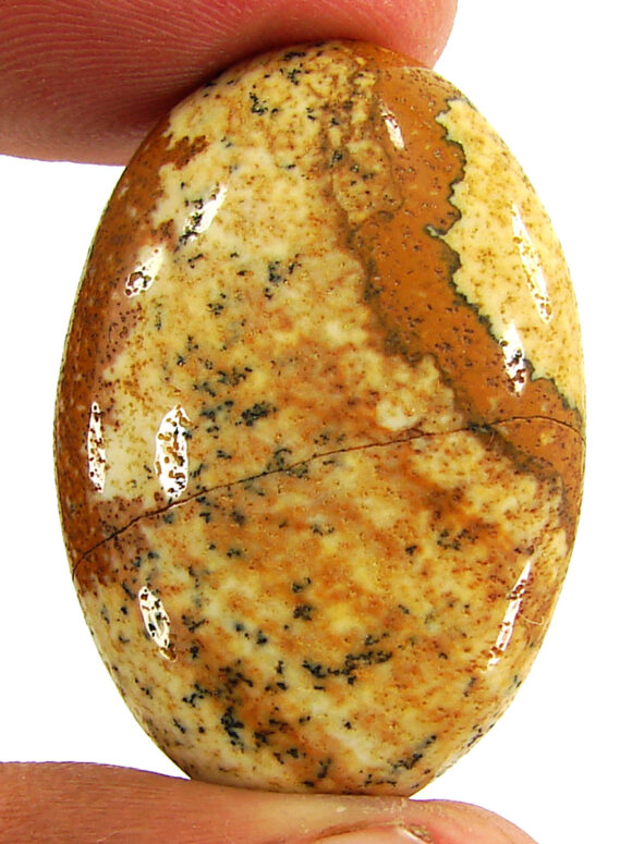 40.85 Ct Natural Picture Jasper Gemstone Stone Cabochon Wire Wrap Stone - 22662