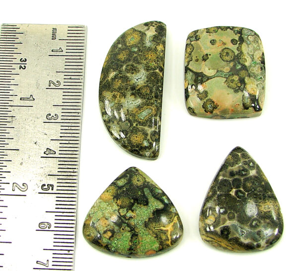 121.30 Ct Natural Leopard Skin Jasper 24-41 mm Gemstone Cabochon 4 Pcs Lot - 22869 - Image 2