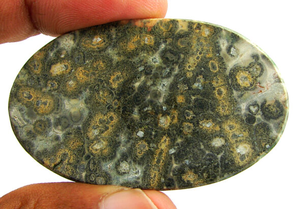 92.55 Ct Natural Leopard Skin Jasper Loose Gemstone Cabochon Wire Wrap - 22872 - Image 2