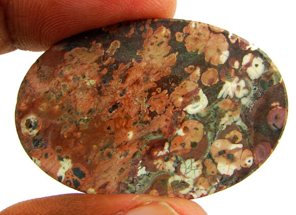 52.25 Ct Natural Leopard Skin Jasper Loose Gemstone Cabochon Wire Wrap - 22878 - Image 2