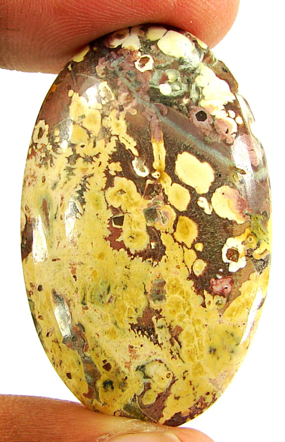 43.60 Ct Natural Leopard Skin Jasper Loose Gemstone Cabochon Wire Wrap - 22880