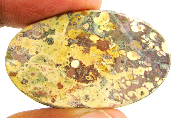 43.60 Ct Natural Leopard Skin Jasper Loose Gemstone Cabochon Wire Wrap - 22880 - Image 2