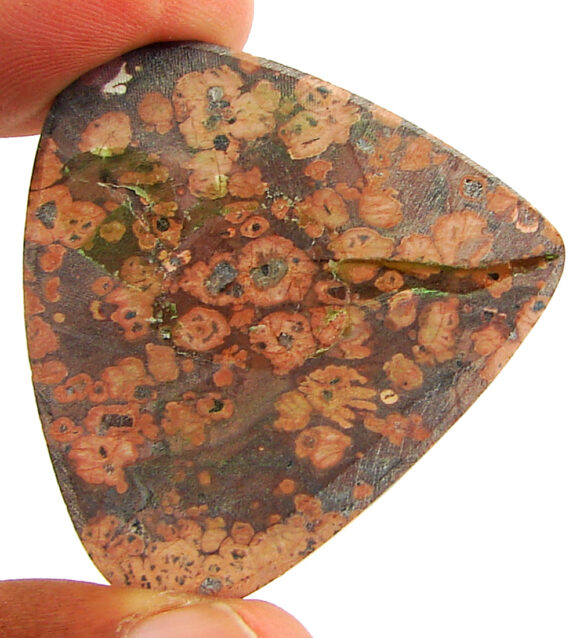 57.05 Ct Natural Leopard Skin Jasper Loose Gemstone Cabochon Wire Wrap - 22890 - Image 2