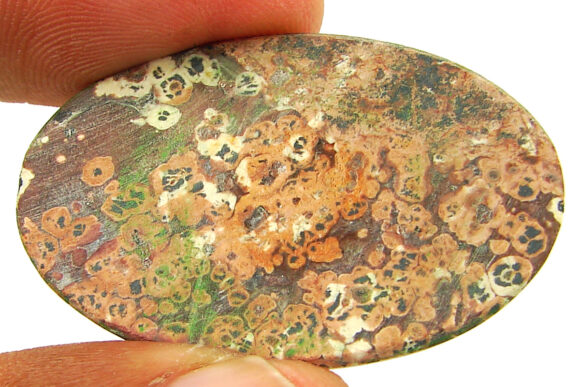 40.85 Ct Natural Leopard Skin Jasper Loose Gemstone Cabochon Wire Wrap - 22895 - Image 2