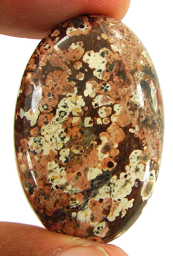 40.85 Ct Natural Leopard Skin Jasper Loose Gemstone Cabochon Wire Wrap - 22895