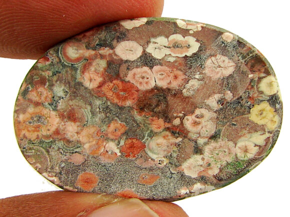 38.55 Ct Natural Leopard Skin Jasper Loose Gemstone Cabochon Wire Wrap - 22907 - Image 2