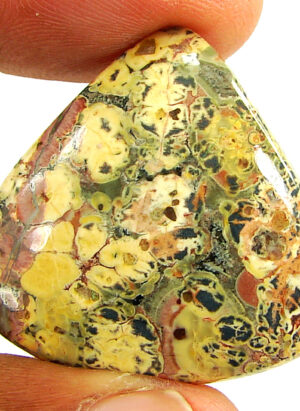 30.10 Ct Natural Leopard Skin Jasper Loose Gemstone Cabochon Wire Wrap - 22913