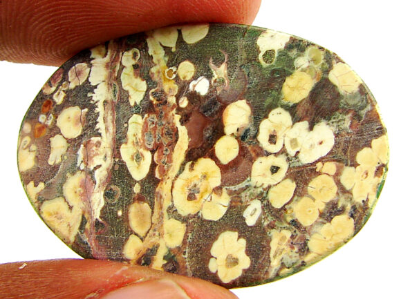 33.70 Ct Natural Leopard Skin Jasper Loose Gemstone Cabochon Wire Wrap - 22914 - Image 2