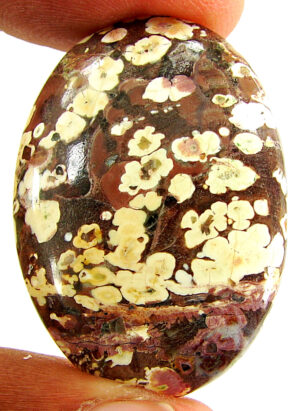 33.70 Ct Natural Leopard Skin Jasper Loose Gemstone Cabochon Wire Wrap - 22914