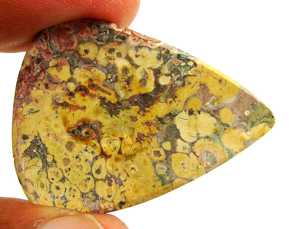 29.85 Ct Natural Leopard Skin Jasper Loose Gemstone Cabochon Wire Wrap - 22920 - Image 2